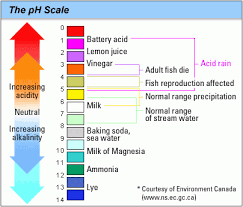 Giấy đo pH